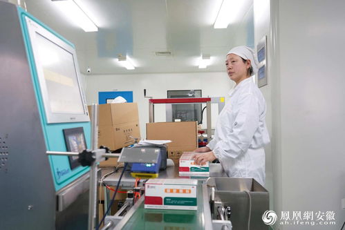 聚焦科技興企 創新引領工業精品鳳凰網安徽 鳳凰網